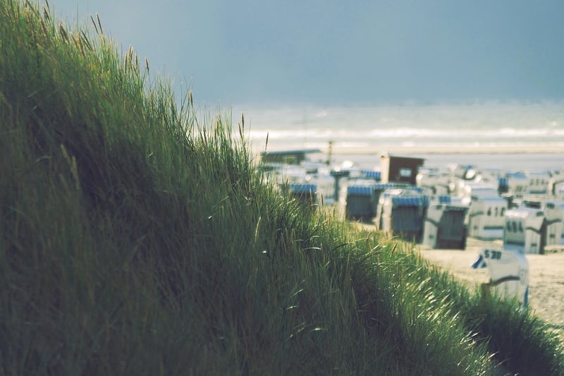 Beach Image