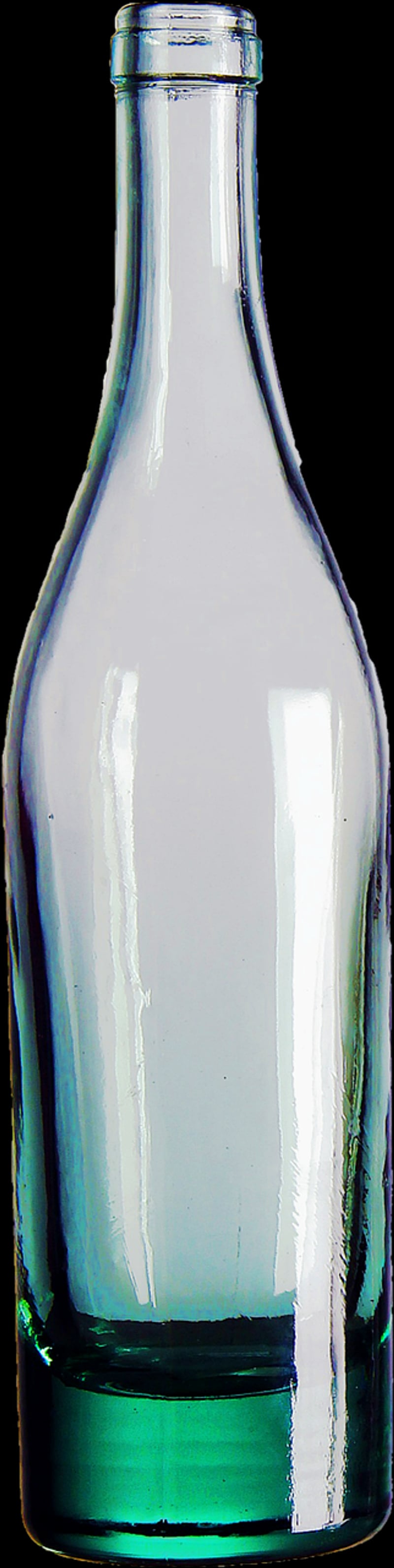 Travel Water Bottle